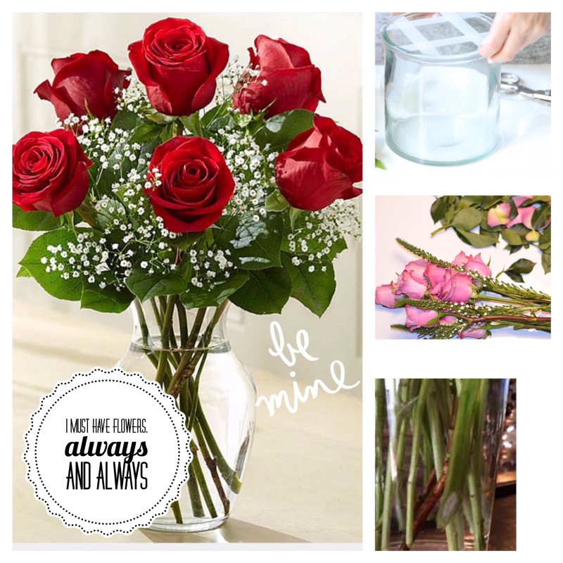 Image 17 E1455083319272