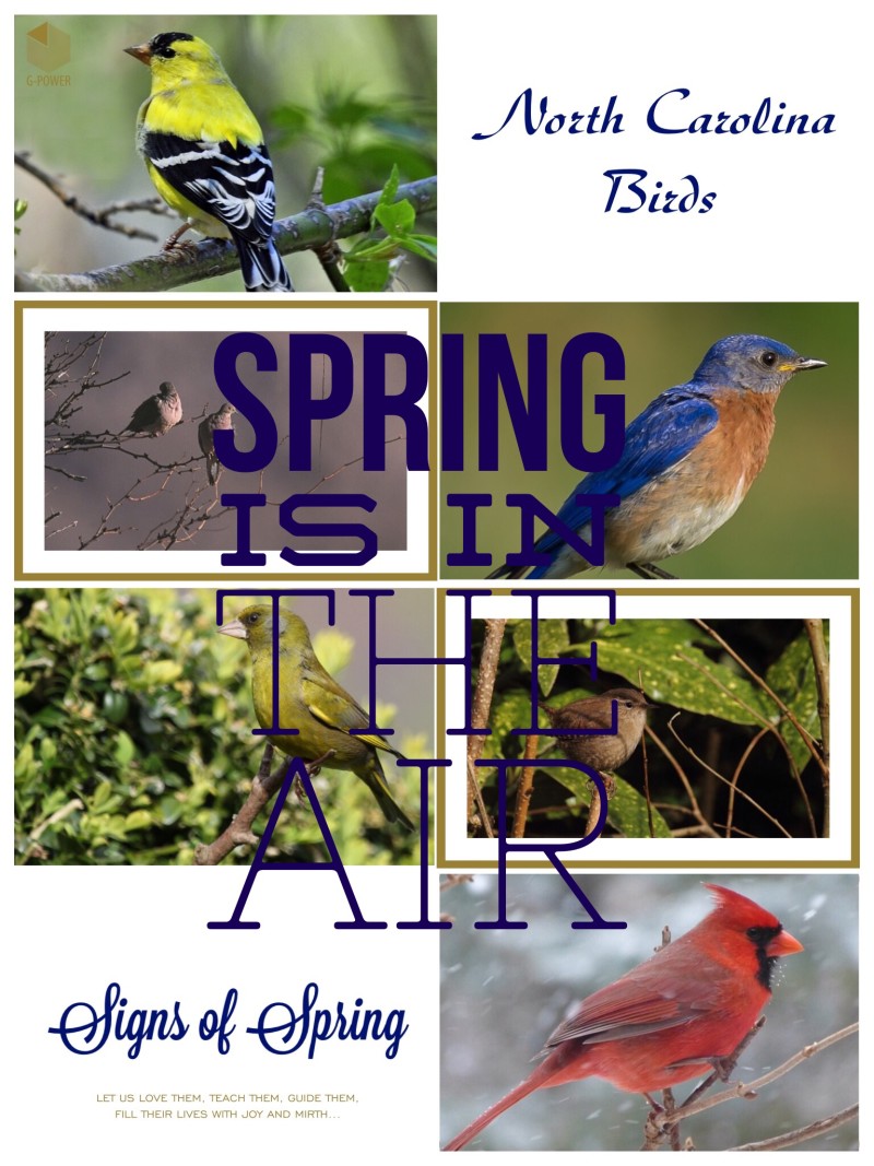 Image 34 E1455889538917