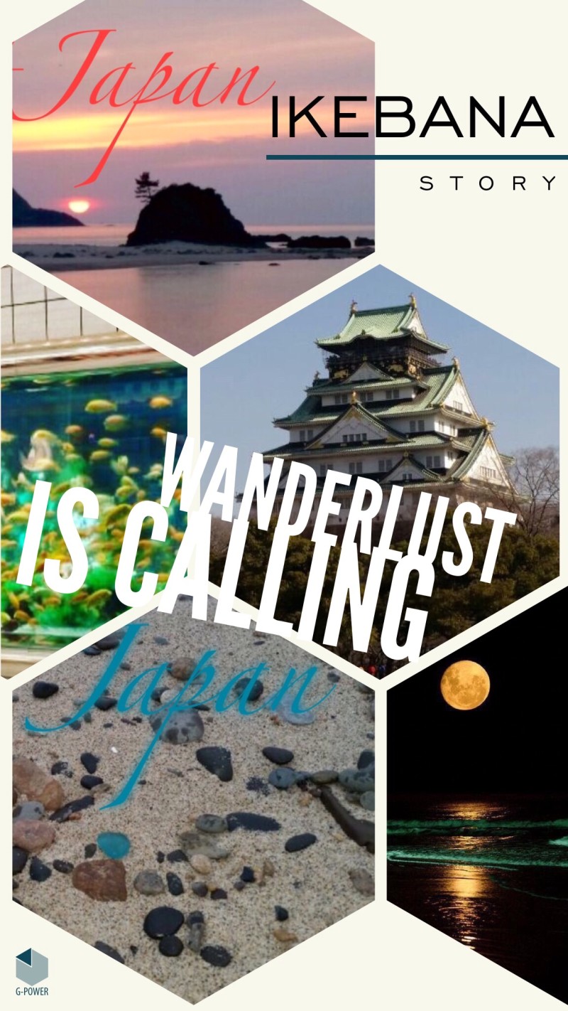 Image 37 E1456070820801