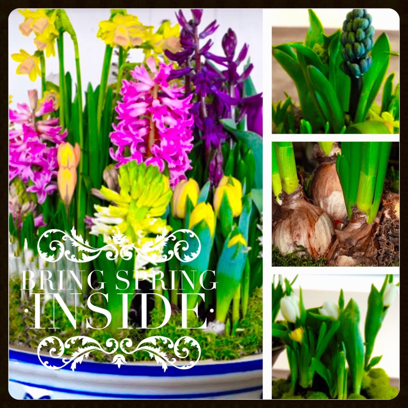 Image 42 E1456240775102