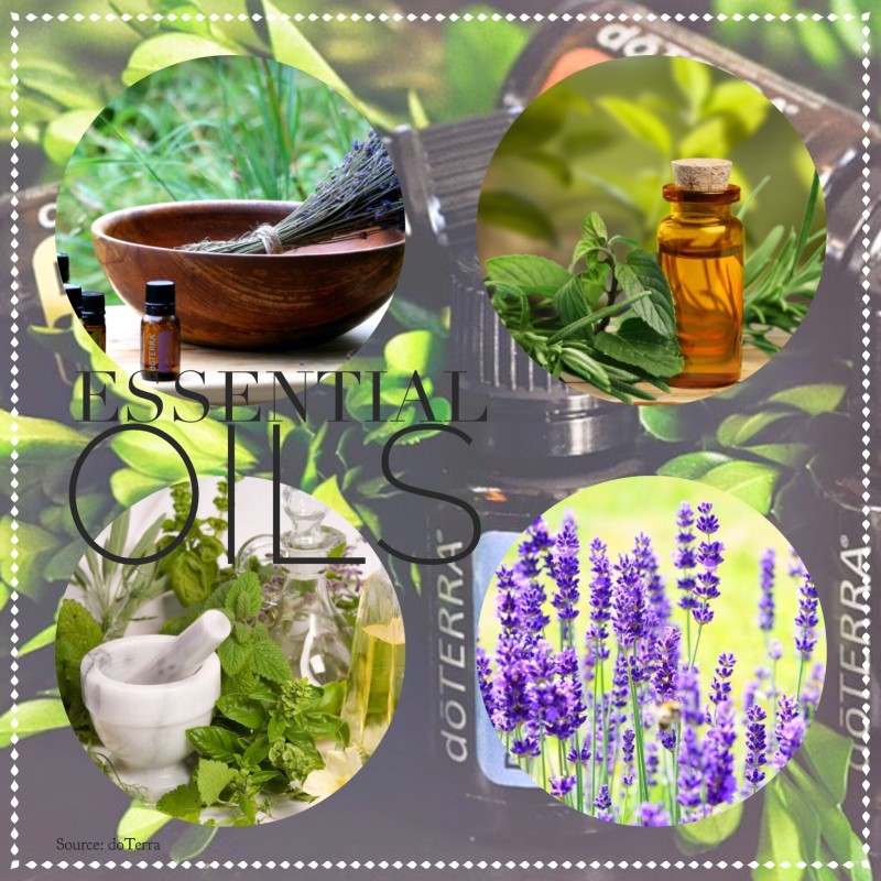 Image 10 E1457626160377