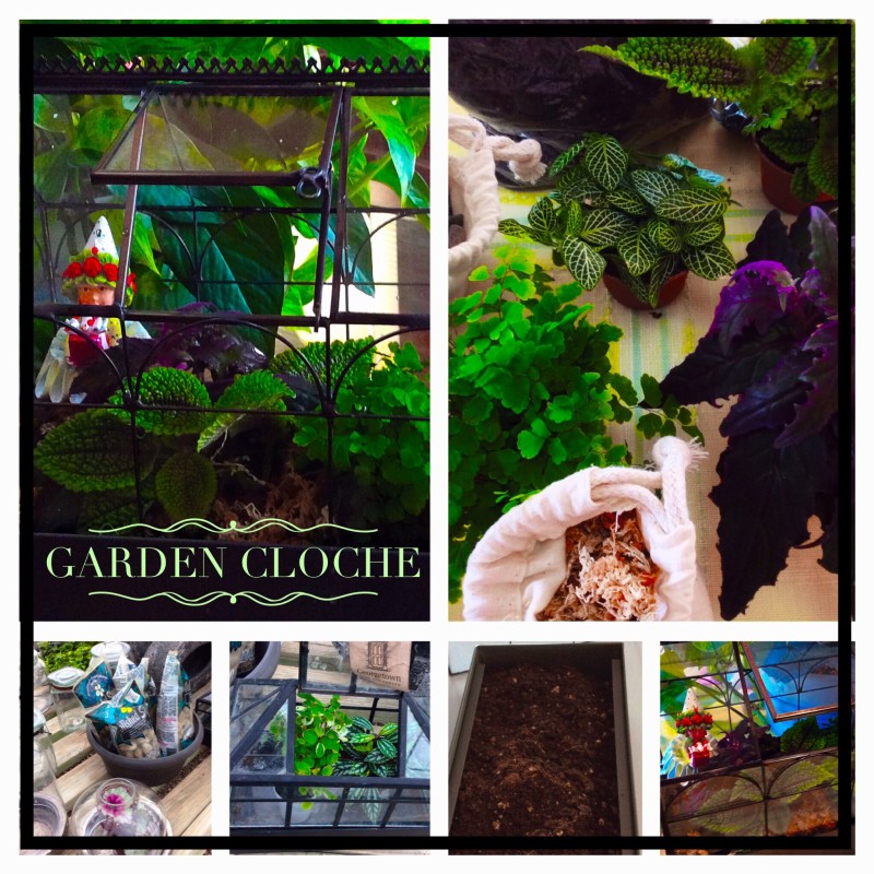 Image 11 E1457652816230